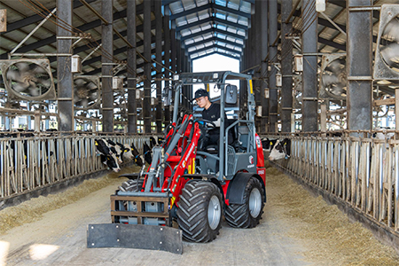 Compact Wheel Loader for Sale Compact Wheel Loader for Sale