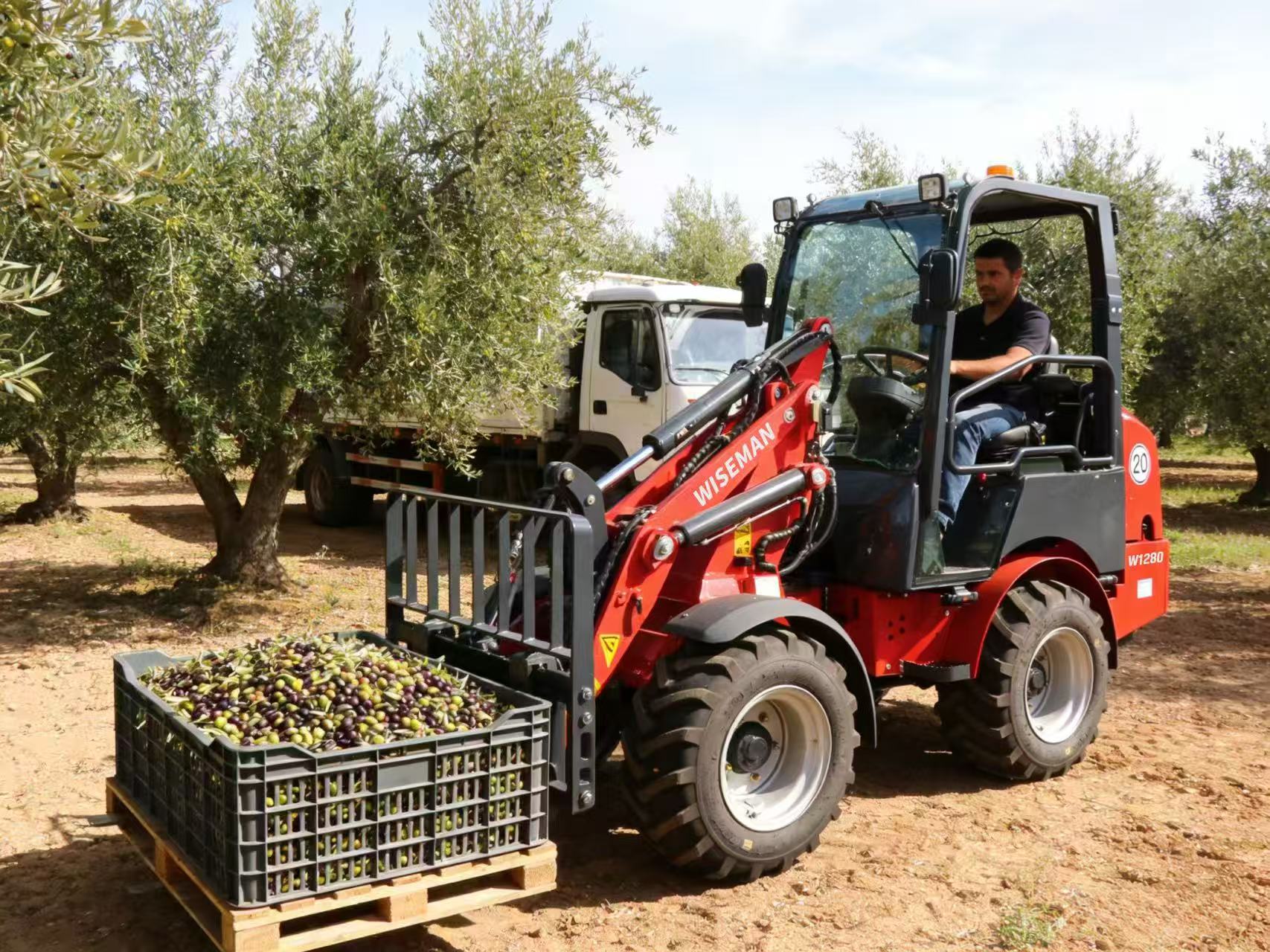 Forestry Compact Articulated Loader