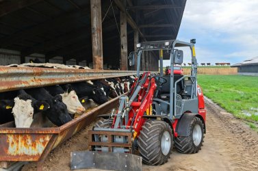 Caricatore compatto Wiseman: potenza e precisione per la tua azienda agricola lattiero-casearia