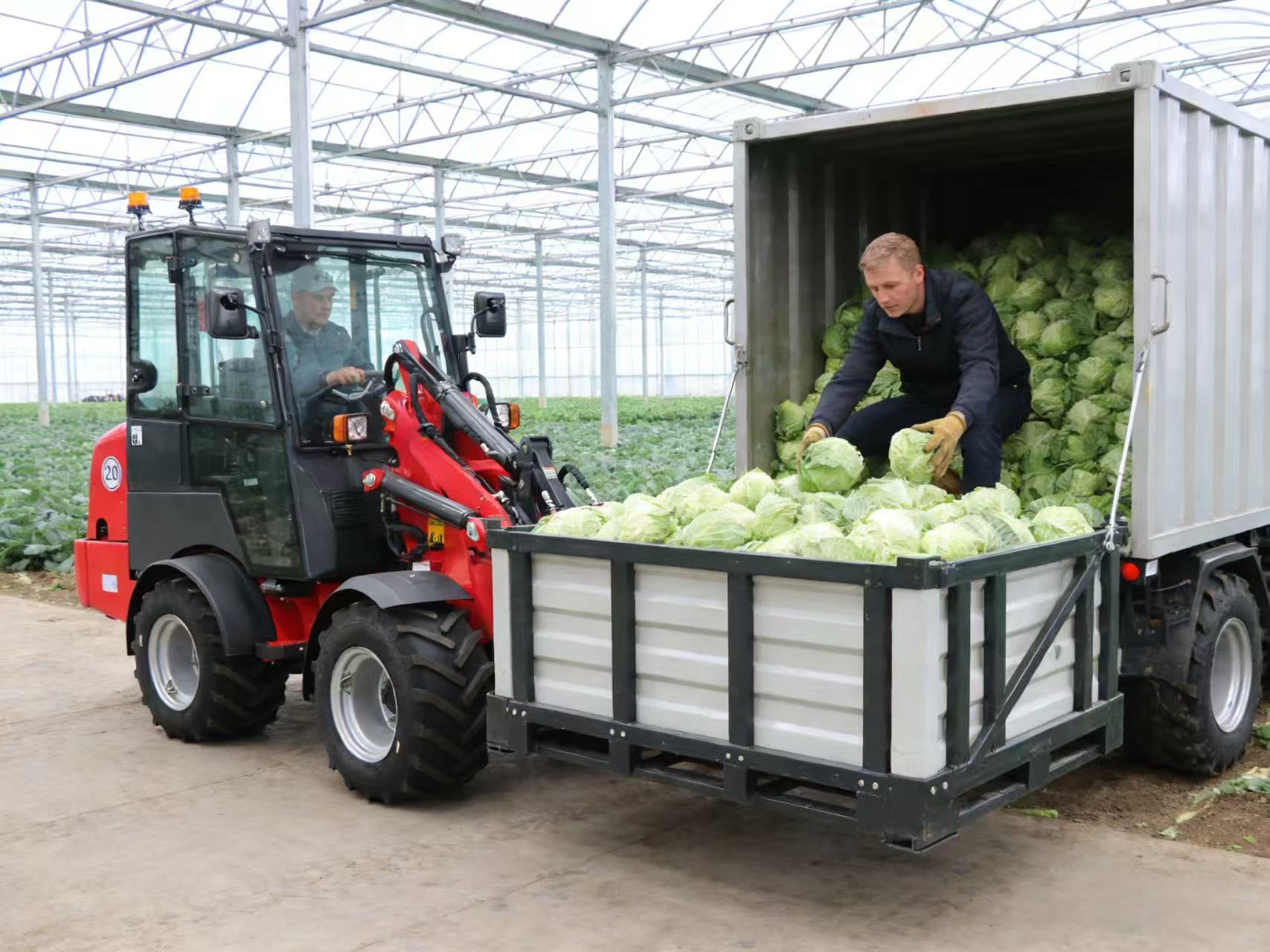Zuverlässige Kompaktlader Zuverlässige Kompaktlader