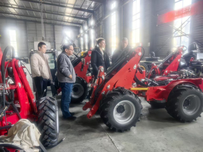 Small Articulating Loader